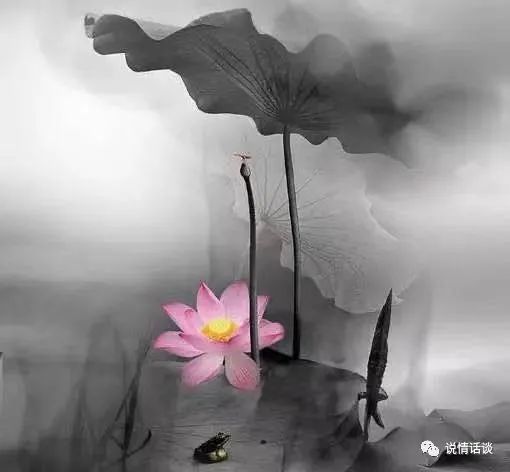 友情就像一杯酒句子-句子橘 友情就像一杯酒句子-句子橘