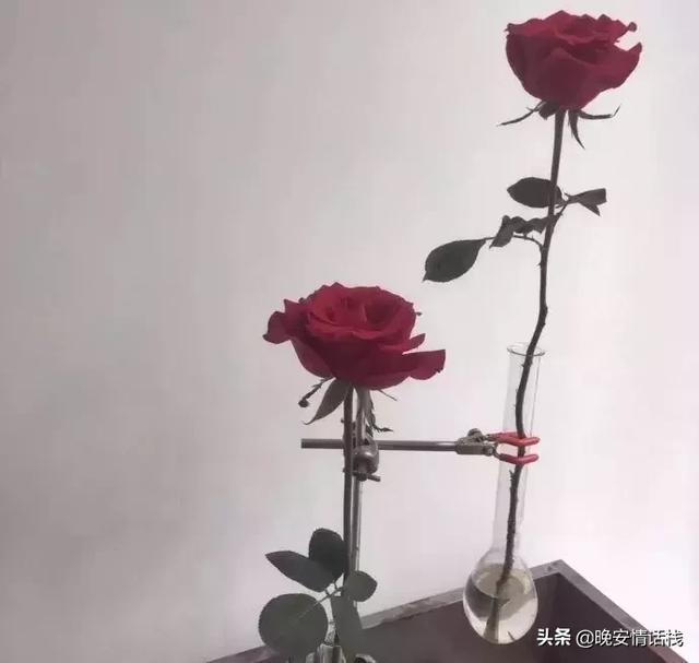 半夜流泪伤心难过的句子,直击心窝
