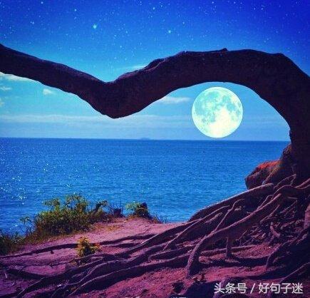 朋友圈优美有意境的伤感句子,句句让人心碎!
