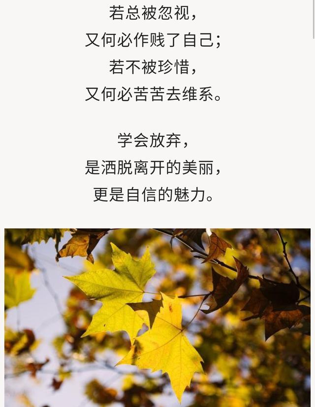 我的真心换来伤心，最后只剩寒心（句句入心）