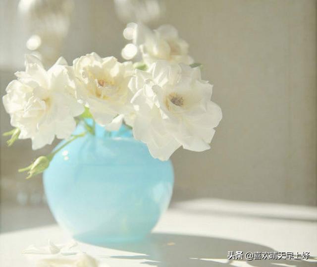 关于花的伤感个性签名