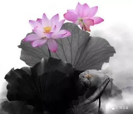 关于友情最重要的句子-句子橘