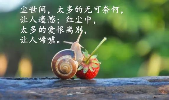 感叹朋友的友情的句子(遇到一个好朋友的感慨)