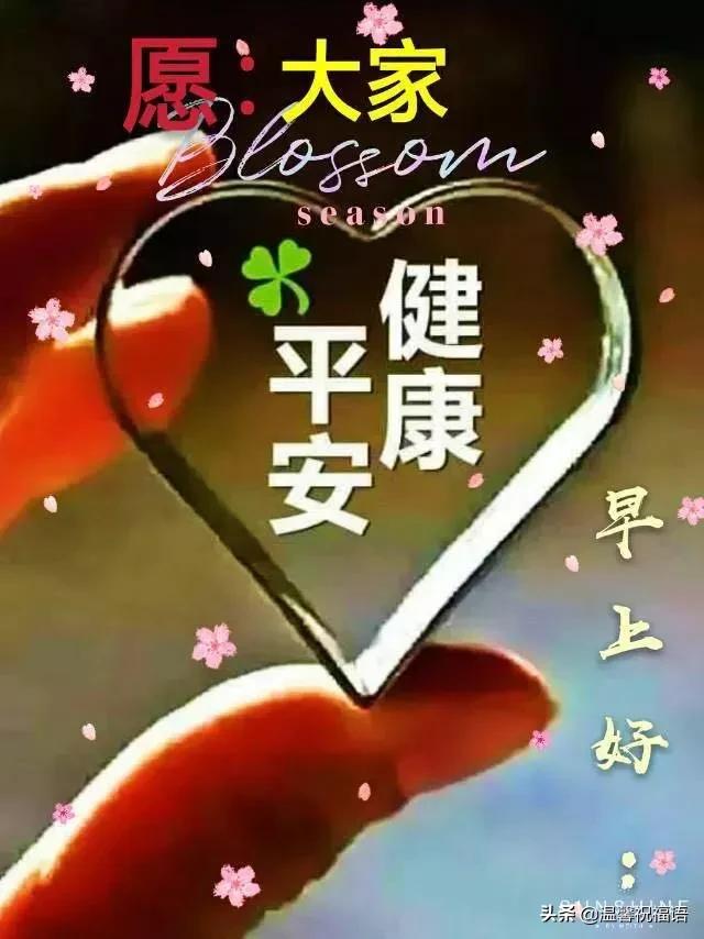缘分来去难以强求,唯有真挚友谊永远不变,望我们友谊之树长青