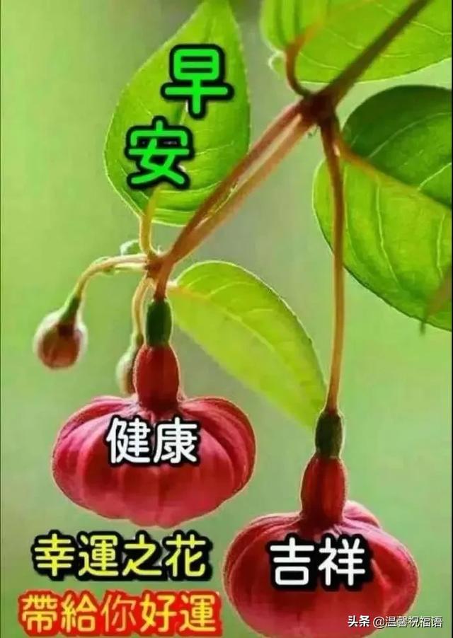 缘分来去难以强求,唯有真挚友谊永远不变,望我们友谊之树长青