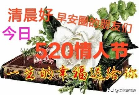 缘分来去难以强求,唯有真挚友谊永远不变,望我们友谊之树长青