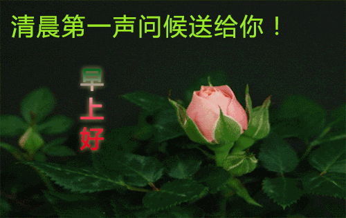 缘分来去难以强求,唯有真挚友谊永远不变,望我们友谊之树长青