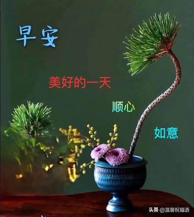 缘分来去难以强求,唯有真挚友谊永远不变,望我们友谊之树长青