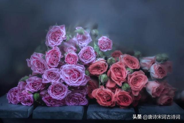 世间知音少,友情倍珍惜