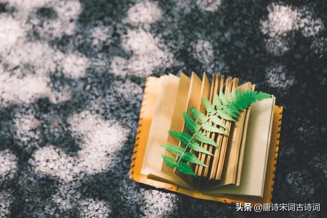 世间知音少,友情倍珍惜