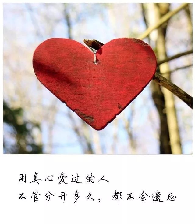 2021痛彻心扉,最伤感的句子......-句子橘 2021痛彻心扉,最伤感的句子......-句子橘