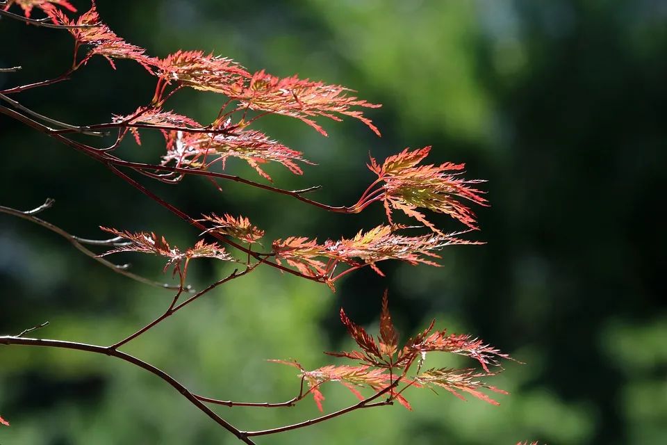 心碎的句子,伤感的话-句子橘 心碎的句子,伤感的话-句子橘