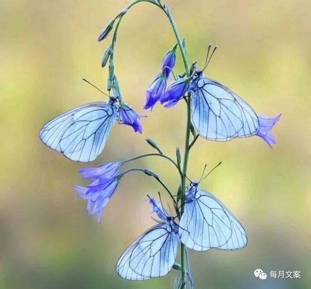 两个小朋友友情的句子-句子橘 两个小朋友友情的句子-句子橘