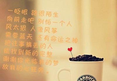 描写友情的词语和句子(描写春天的词语)