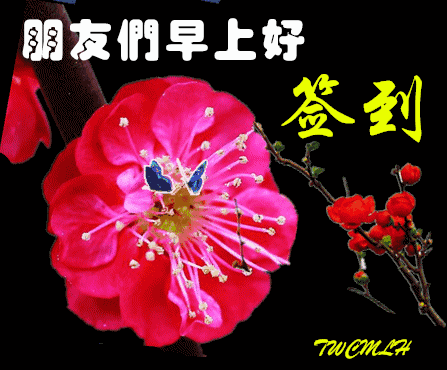 心情好的句子祝福语问候语早安心语正能量早安语录-句子橘