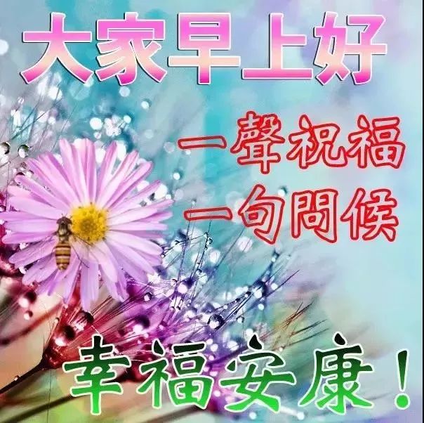 心情好的句子祝福语问候语早安心语正能量早安语录-句子橘