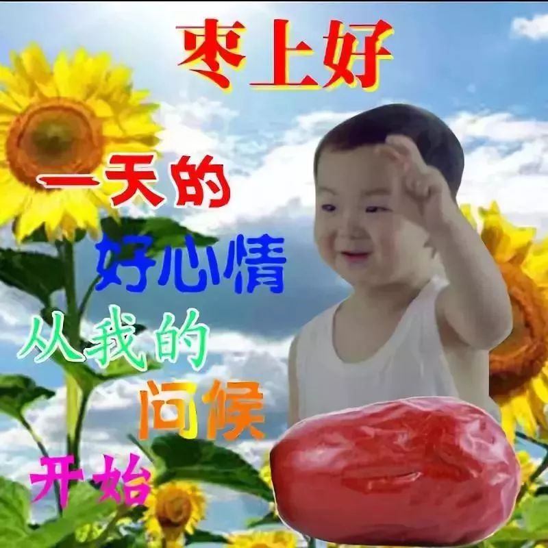 心情好的句子祝福语问候语早安心语正能量早安语录-句子橘