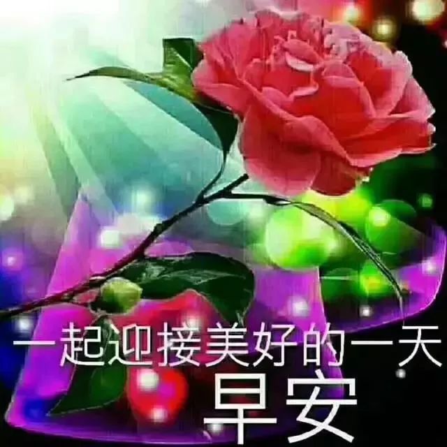 心情好的句子祝福语问候语早安心语正能量早安语录-句子橘