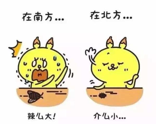 上了大学才知道,原来南北方的差异,也就银河那么大吧……