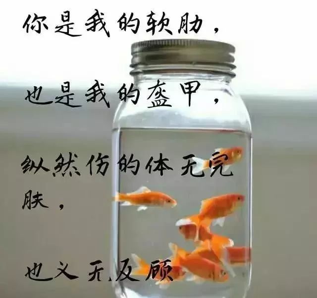 抖音最火伤感句子!-句子橘 抖音最火伤感句子!-句子橘