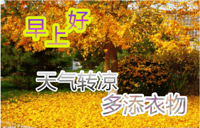 心情好的句子人生感悟经典语录早上好图片早安问候语-句子橘