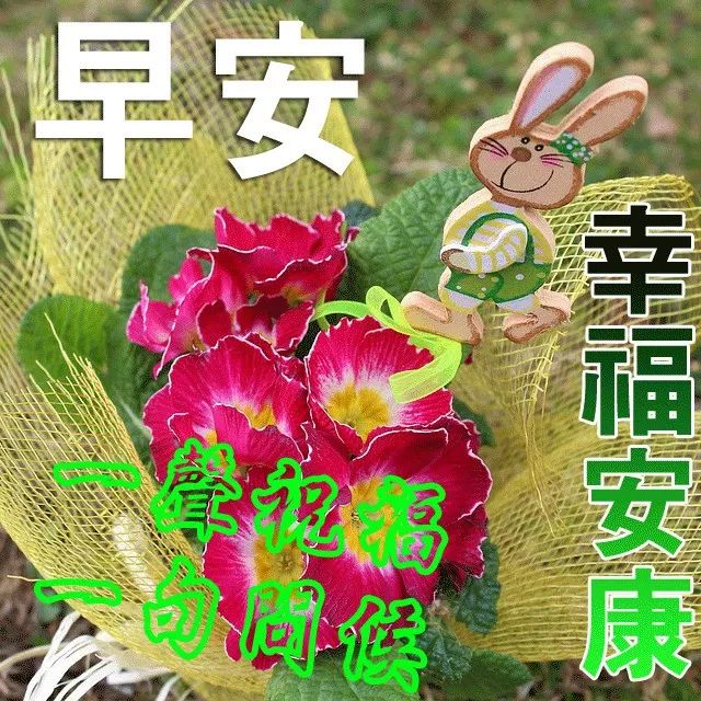 心情好的句子人生感悟经典语录早上好图片早安问候语-句子橘