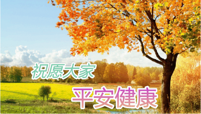 心情好的句子人生感悟经典语录早上好图片早安问候语-句子橘