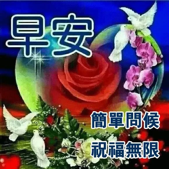 心情好的句子人生感悟经典语录早上好图片早安问候语-句子橘
