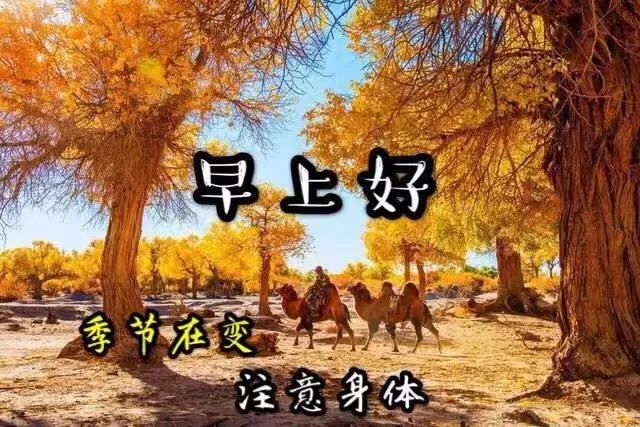 心情好的句子人生感悟经典语录早上好图片早安问候语-句子橘