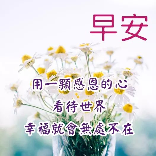 心情好的句子人生感悟经典语录早上好图片早安问候语-句子橘