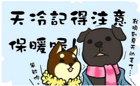 天气好的说说搞笑句子(吐槽天气冷的幽默说说)