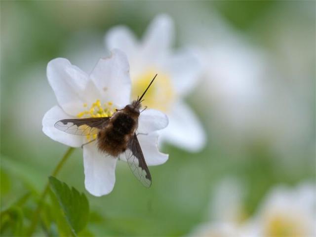形容天气忽冷忽热的说说 气温变化无常的句子
