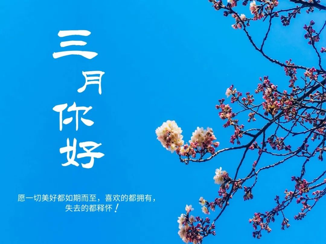 三月心情不好的句子，三月伤感短句-句子橘