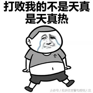 用一句话形容天气很热，经典图片神回复