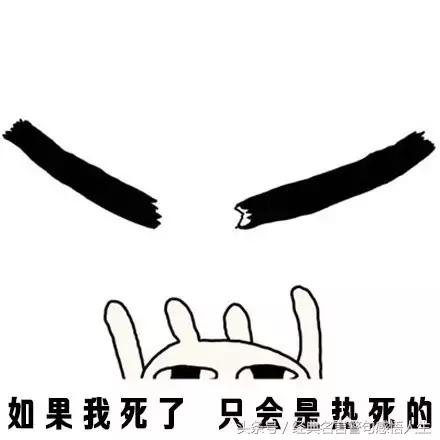 用一句话形容天气很热，经典图片神回复