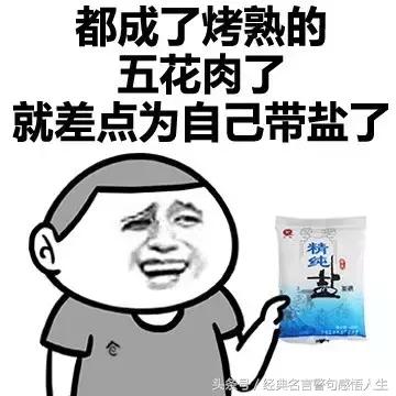 用一句话形容天气很热，经典图片神回复
