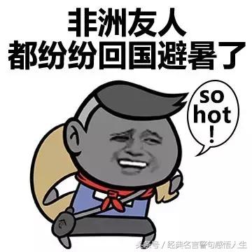 用一句话形容天气很热，经典图片神回复