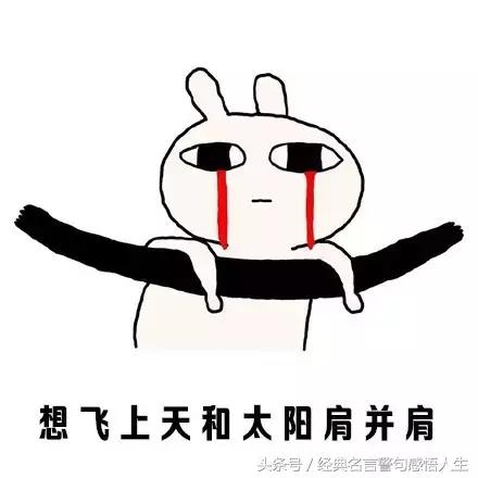 用一句话形容天气很热，经典图片神回复