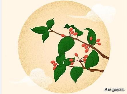向前看阳光明媚的经典早安句子