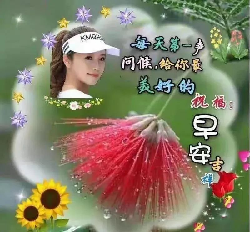 心情好的句子早上好表情晚上好表情图早上好问候语-句子橘