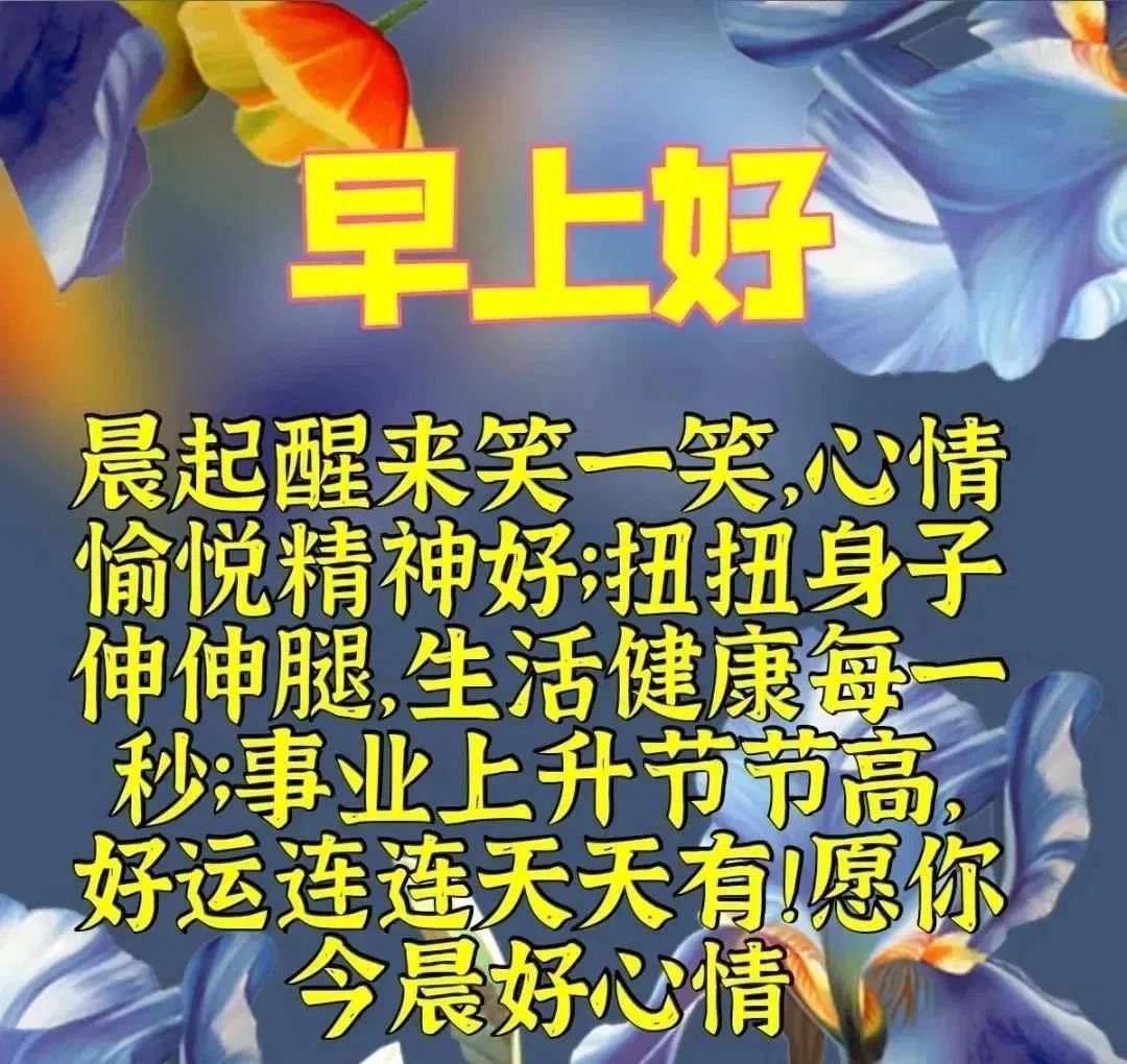 心情好的句子早上好表情晚上好表情图早上好问候语-句子橘