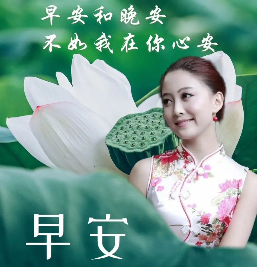 心情好的句子早上好表情晚上好表情图早上好问候语-句子橘