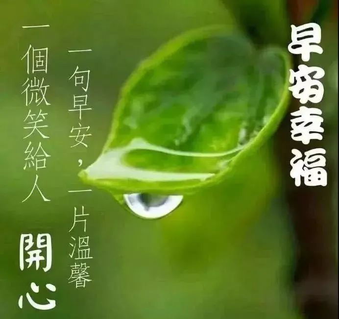 心情好的句子早上好表情晚上好表情图早上好问候语-句子橘