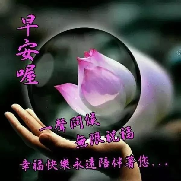 心情好的句子早上好表情晚上好表情图早上好问候语-句子橘