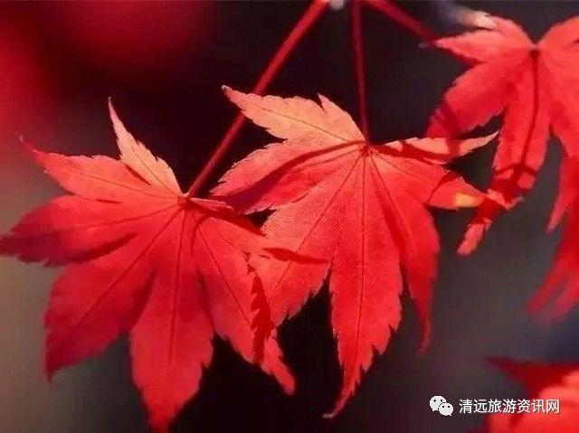 有一种牵挂，叫：秋凉添衣！（致朋友！）