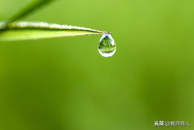 21篇描写不同天气的好词好句好段,给作文多添一分色彩,给娃保存