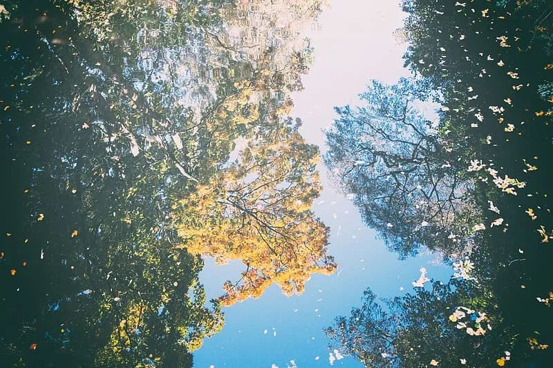 超级伤感的句子,伤感说说一句话-句子橘 超级伤感的句子,伤感说说一句话-句子橘