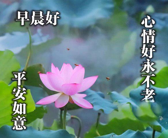 天气热了补充句子(关于热的句子摘抄200字)