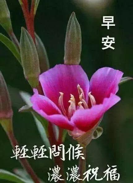 形容早晨天气好的句子(阳光明媚的句子唯美句)