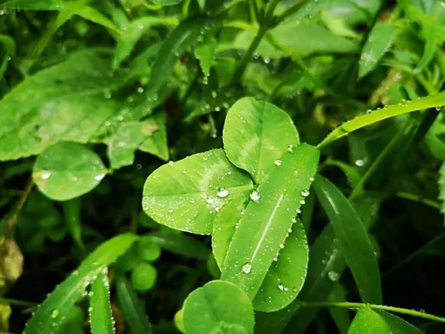 金色九月,烟雨重渡沟